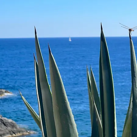 Apartment Turquesa Del Mar - Sun & Beach & Golf & Bike - Large Terrace Ground-Floor Spanish Apartment *
